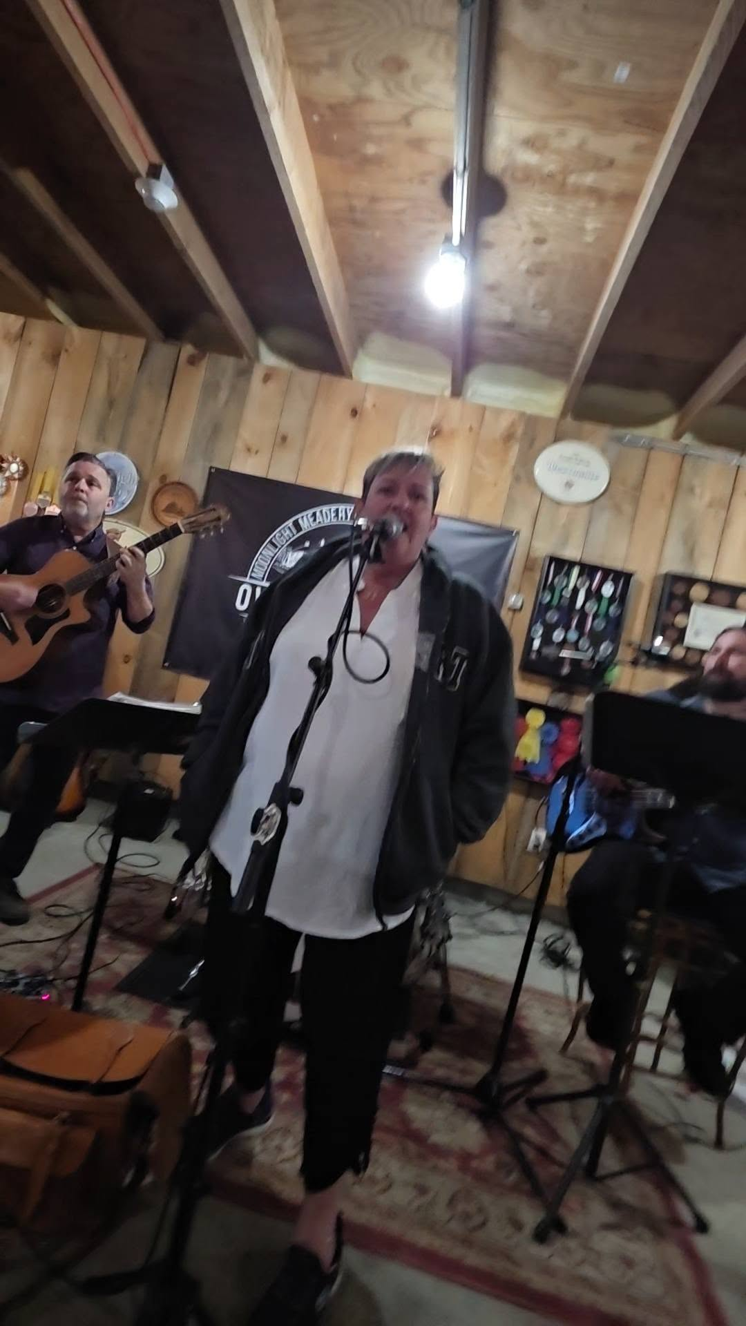 Chanteuse au micro devant un band