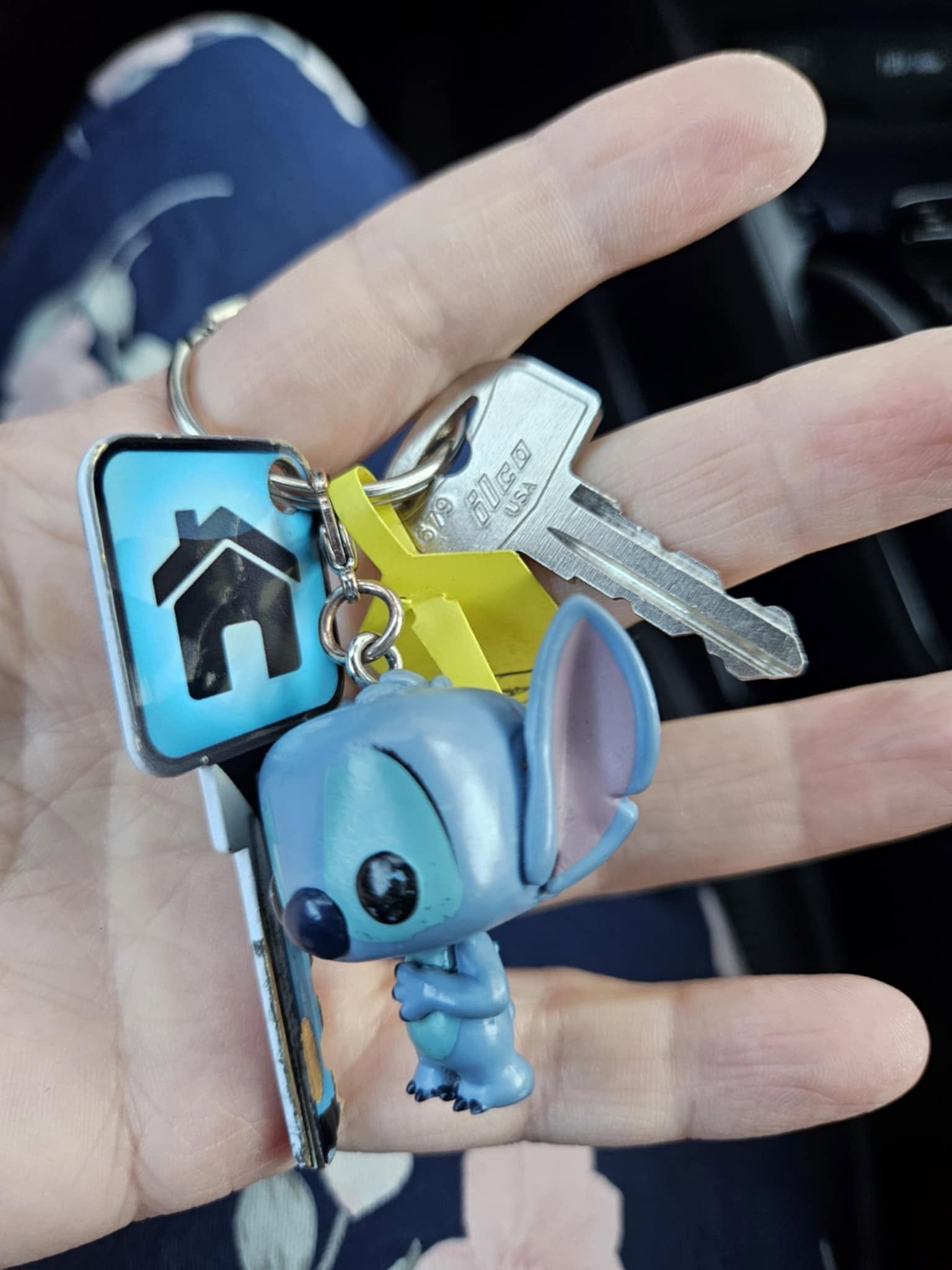 Enfin de retour à la maison!