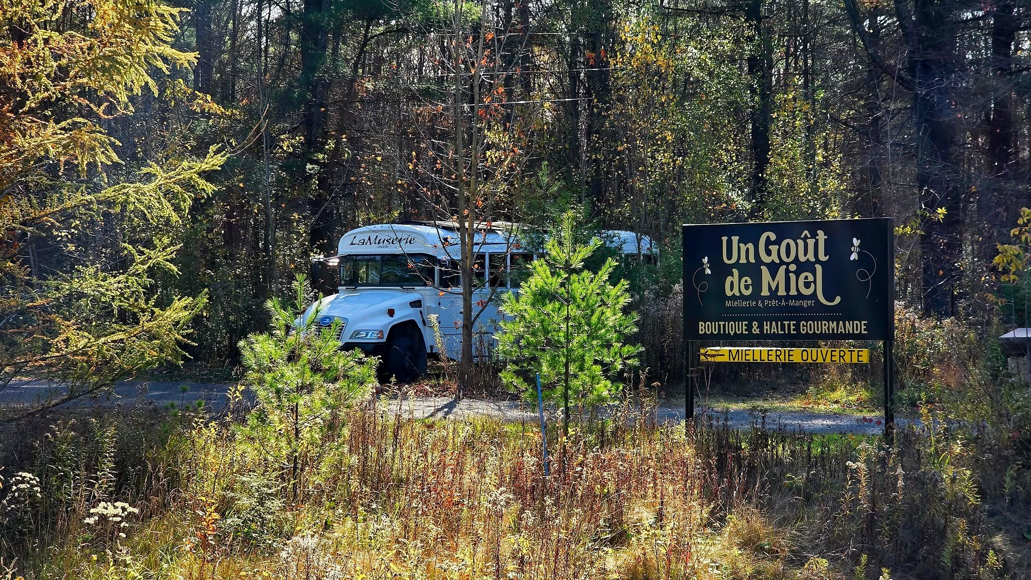 Un goût du miel : dernier campeur de la saison à Sainte-Clotilde-de-Horton