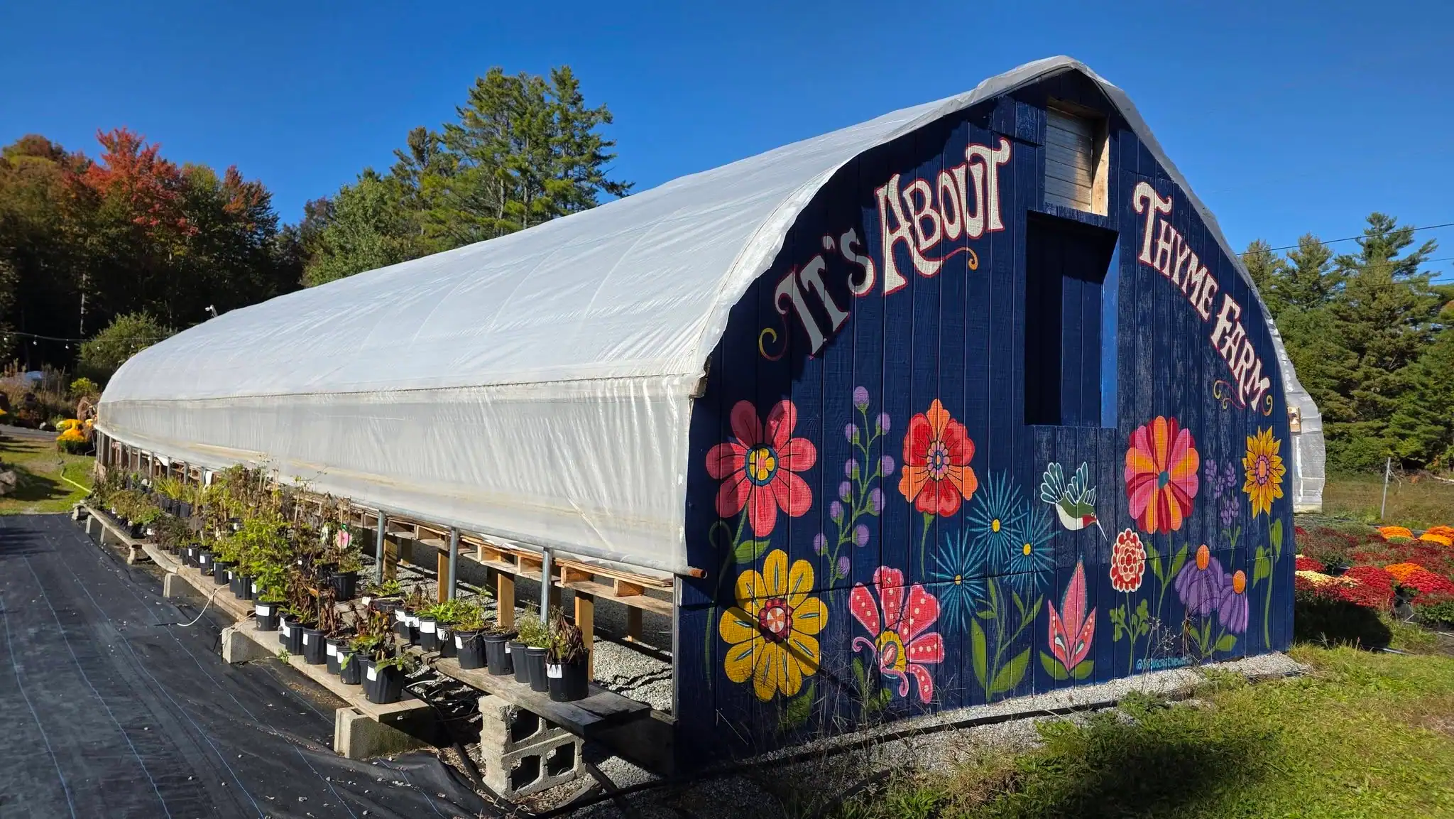 Starlink à 3 h du matin, poteau de clôture et tsunami de poils : Harvest Host à It’s About Thyme Farm (Olmsteadville, NY)